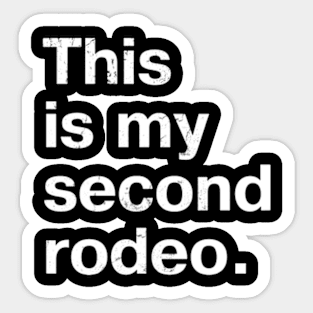 "This is my second rodeo." in plain white letters - cos you're not the noob, but barely Sticker